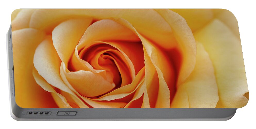 Rose Portable Battery Charger featuring the photograph Peach Rose by Gareth Parkes