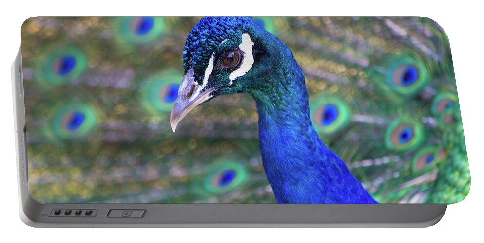 Peacock Portable Battery Charger featuring the photograph Peacock 2 by Deborah M