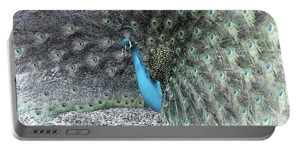 Peacock Portable Battery Charger featuring the photograph Peacock with Selective Color by James C Richardson