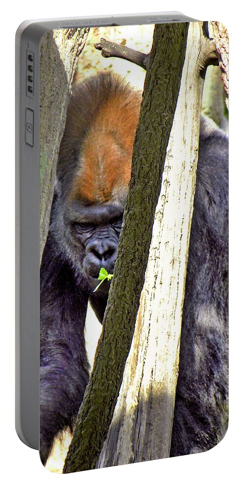 Gorilla Portable Battery Charger featuring the photograph Peek-A-Boo by Kerry Obrist