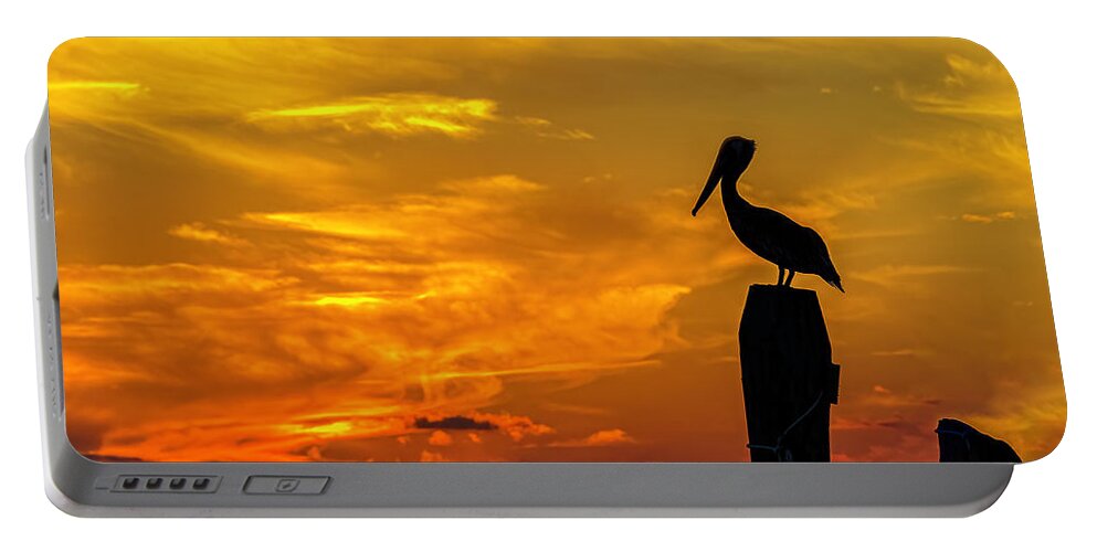 Pelican Portable Battery Charger featuring the photograph Pelican at Silver Lake Sunset Ocracoke Island 2014 _002 by Greg Reed