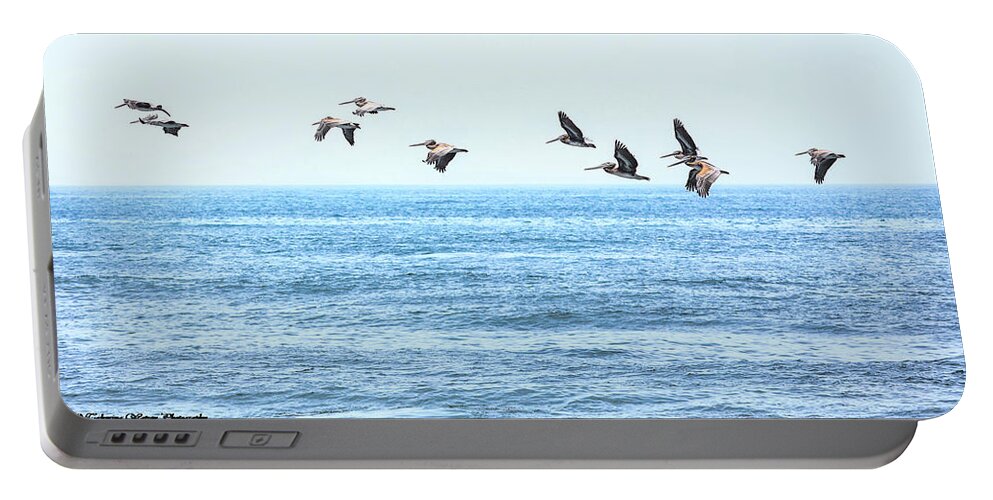 Pelican Portable Battery Charger featuring the photograph Pelican Pod by Tahmina Watson