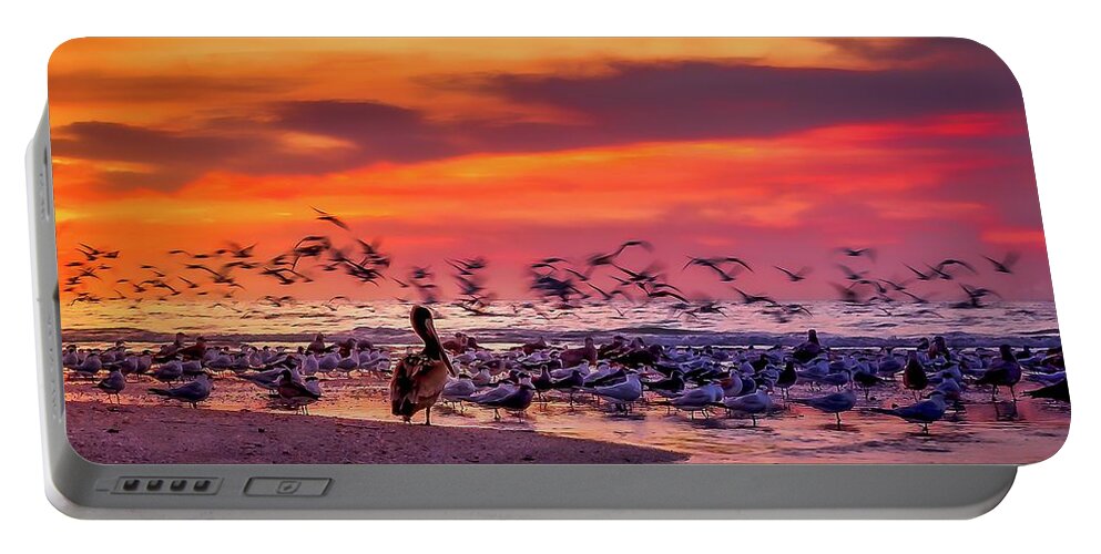 Beach Portable Battery Charger featuring the photograph Pelican Watch at Clam Pass Beach by Dee Potter