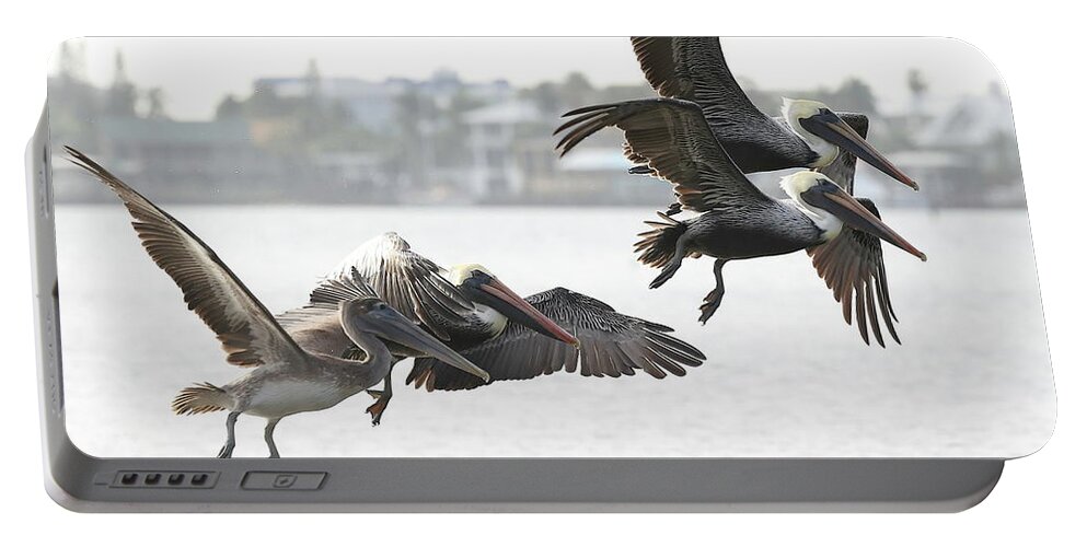 Pelicans Portable Battery Charger featuring the photograph Pelicans Fly in Pairs by Mingming Jiang