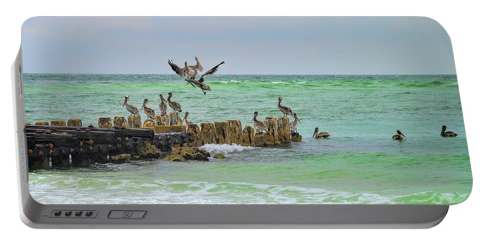 Pelicans Portable Battery Charger featuring the photograph Pelicans in Florida by Alison Belsan Horton