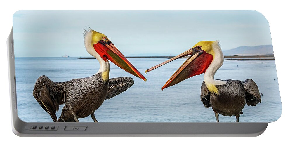 Pelicans Portable Battery Charger featuring the photograph Pelicans on the Oceanside Pier by Rich Cruse
