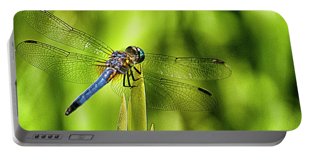 Dragonfly Portable Battery Charger featuring the photograph Pensive Dragon by Bill Barber