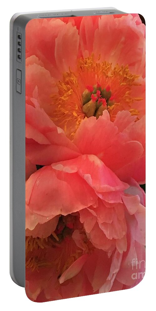 Flowers Portable Battery Charger featuring the photograph Peonies by Theresa D Williams