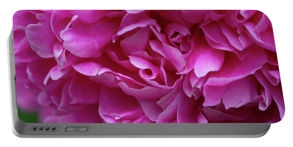 Flowers Portable Battery Charger featuring the photograph Peony by Aggy Duveen