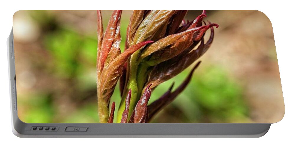 Flower Portable Battery Charger featuring the photograph Peony Sprouts 2 by Steven Ralser