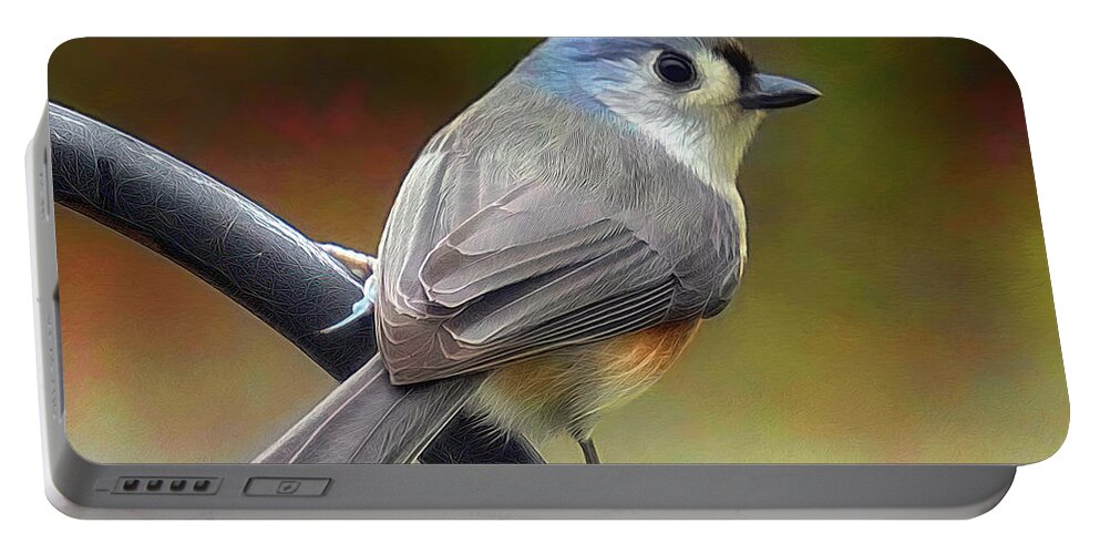 Tufted Titmouse Portable Battery Charger featuring the photograph Perfect Pitch by Michael Frank