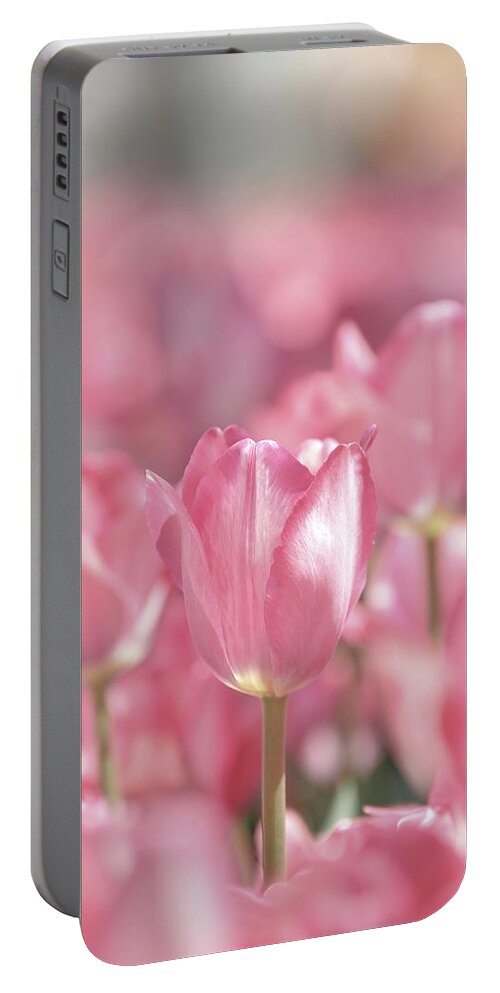 Nature Portable Battery Charger featuring the photograph Perfectly Pink by Lens Art Photography By Larry Trager