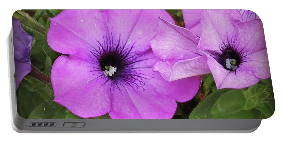 Pink Petunia Portable Battery Charger featuring the photograph Petunia by Farol Tomson