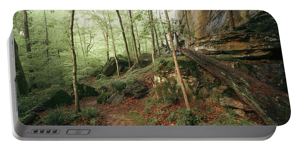 Trail Portable Battery Charger featuring the photograph Phantom Canyon Trail by Grant Twiss