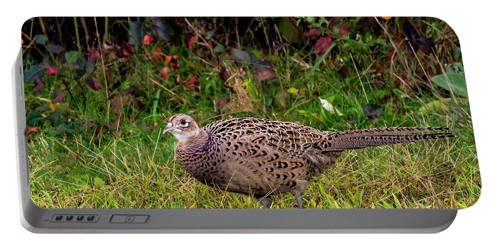Pheasant Portable Battery Charger featuring the photograph Pheasant Hen by Cathy Kovarik