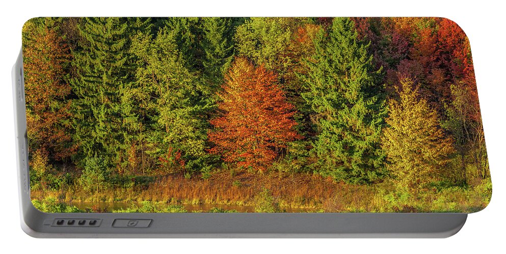 Autumn Portable Battery Charger featuring the photograph Philip's Autumn Trees by Don Nieman