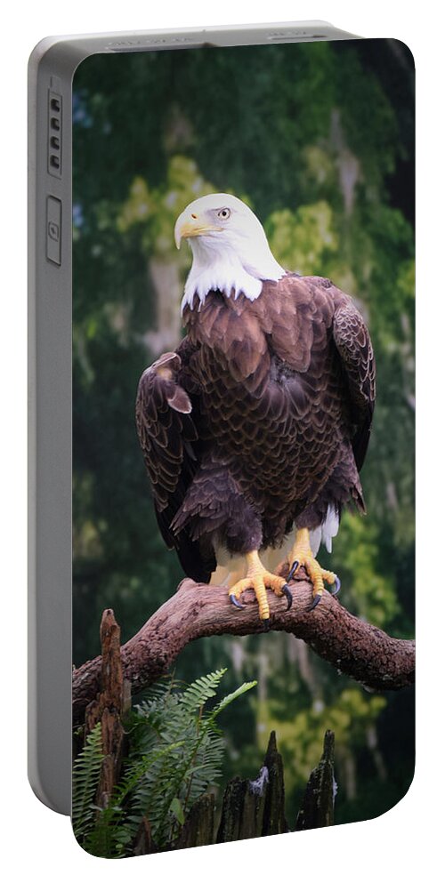 Eagle Portable Battery Charger featuring the photograph Photo 75 American Eagle by Lucie Dumas