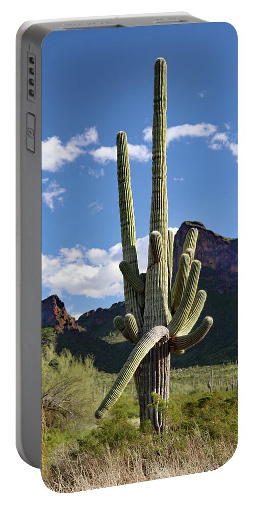 Picacho Peak State Park Portable Battery Charger featuring the photograph Picacho Peak Cactus by David T Wilkinson