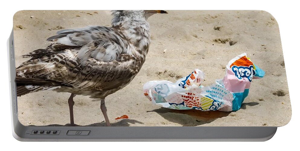 Birds Portable Battery Charger featuring the photograph Picnic on the Beach by Linda Stern