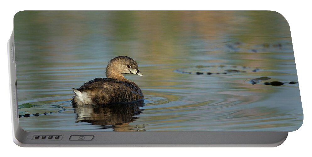 Florida Birds Portable Battery Charger featuring the photograph Pied-billed Grebe by Maresa Pryor-Luzier