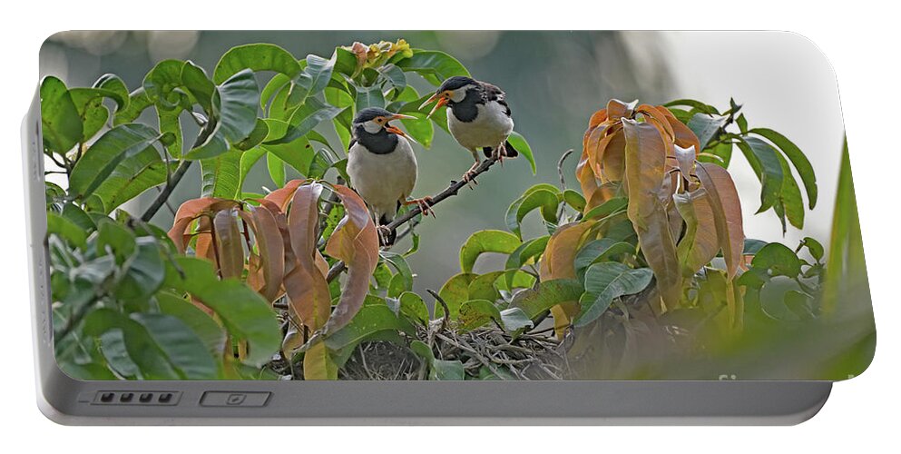 Gracupica Contra Portable Battery Charger featuring the photograph Pied Myna Chicks by Amazing Action Photo Video