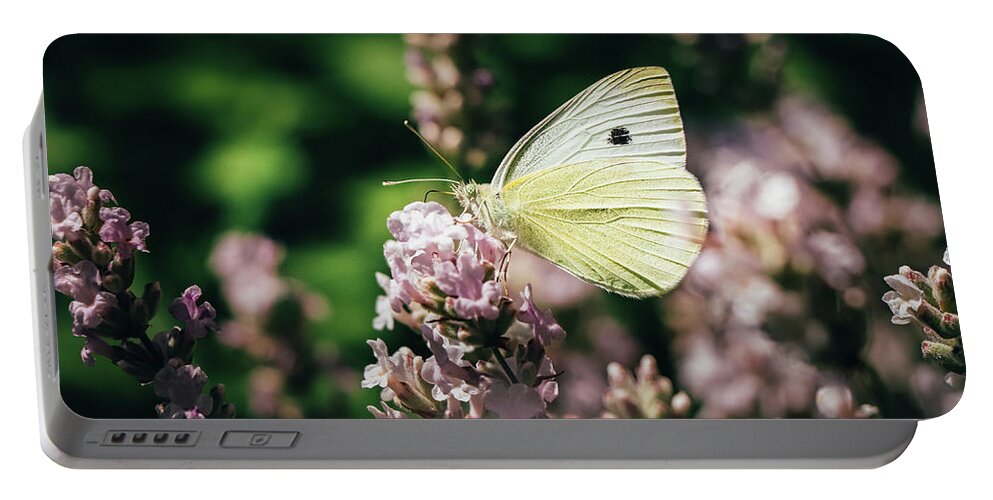 Creature Portable Battery Charger featuring the photograph Pieris rapae sits on pink flower by Vaclav Sonnek