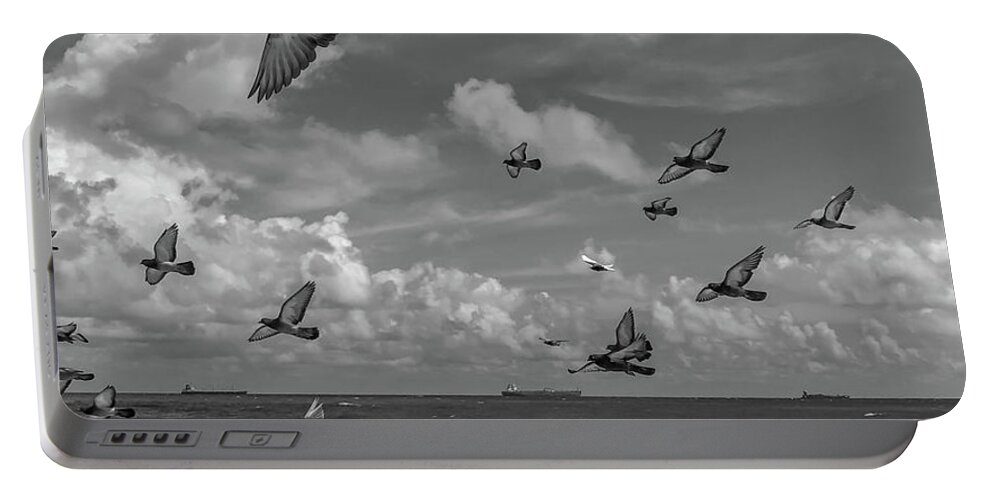 Nature Portable Battery Charger featuring the photograph Pigeons at the beach BW by Barry Bohn