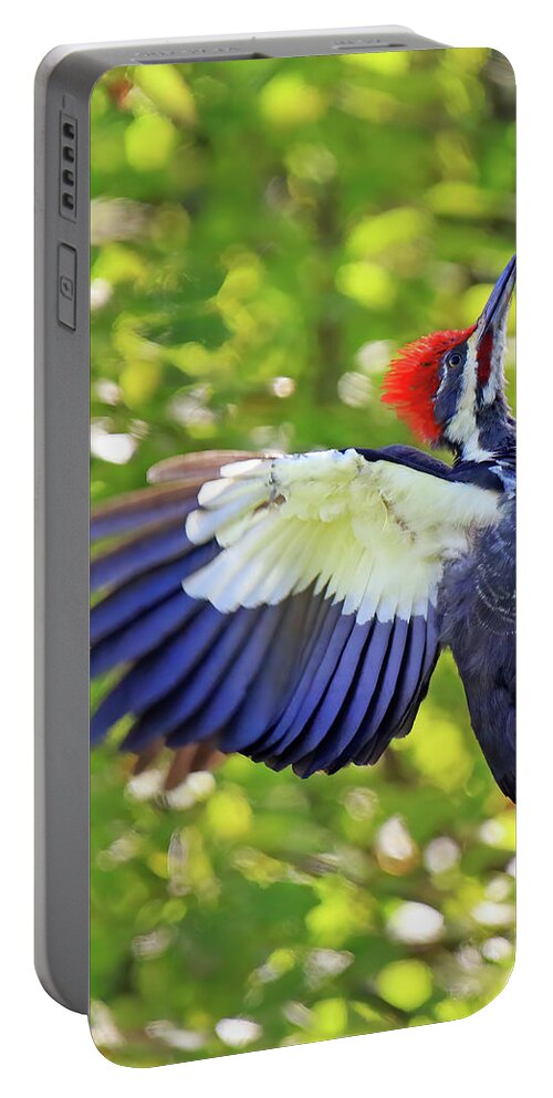 Pileated Woodpecker Portable Battery Charger featuring the photograph Pileated Woodpecker by Shixing Wen