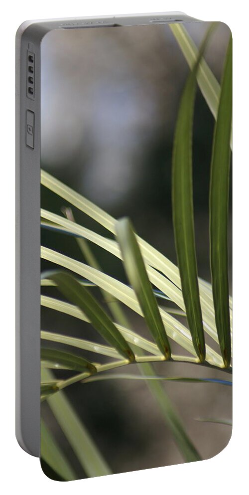  Portable Battery Charger featuring the photograph Pindo Palm Frond by Heather E Harman