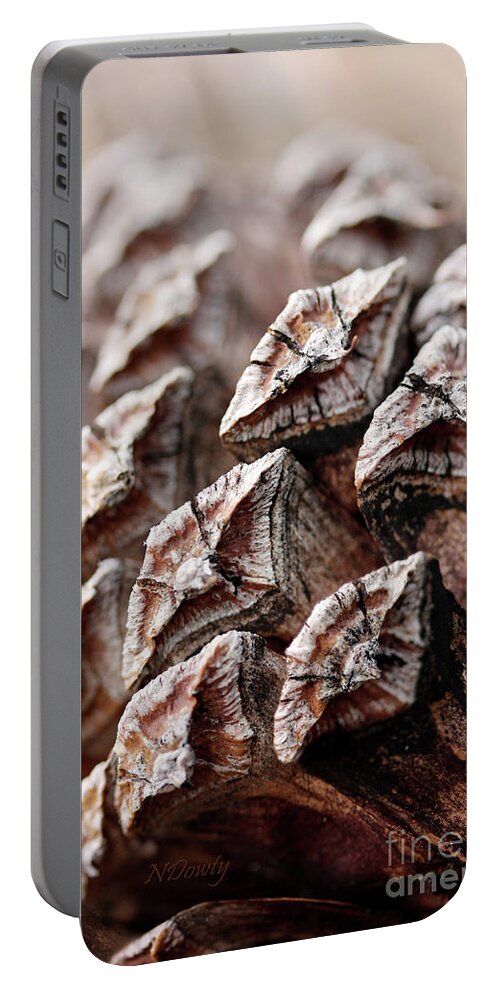 Pine Cone Scales Portable Battery Charger featuring the photograph Pine Cone Scales by Natalie Dowty