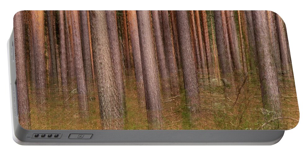 Forest Portable Battery Charger featuring the photograph Pine forest ghost by Hernan Bua