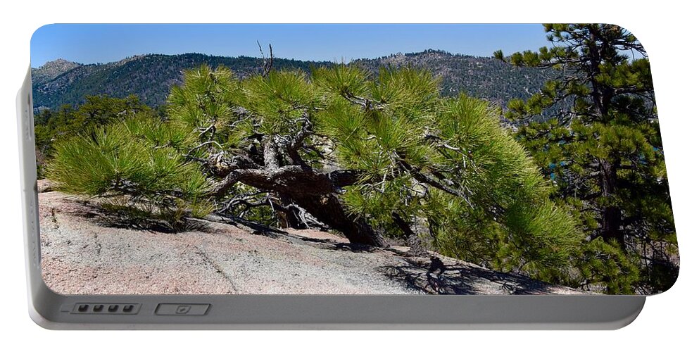 Pine Tree Portable Battery Charger featuring the photograph Pine in Rock by Melissa OGara