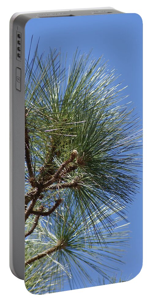  Portable Battery Charger featuring the photograph Pine Right by Heather E Harman