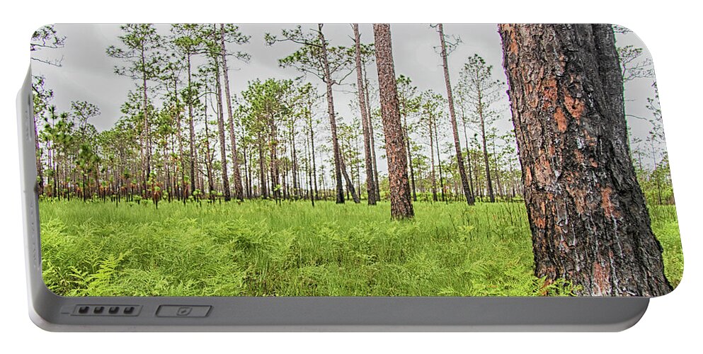 Fern Portable Battery Charger featuring the photograph Pine Savanna With Ferns by Bob Decker