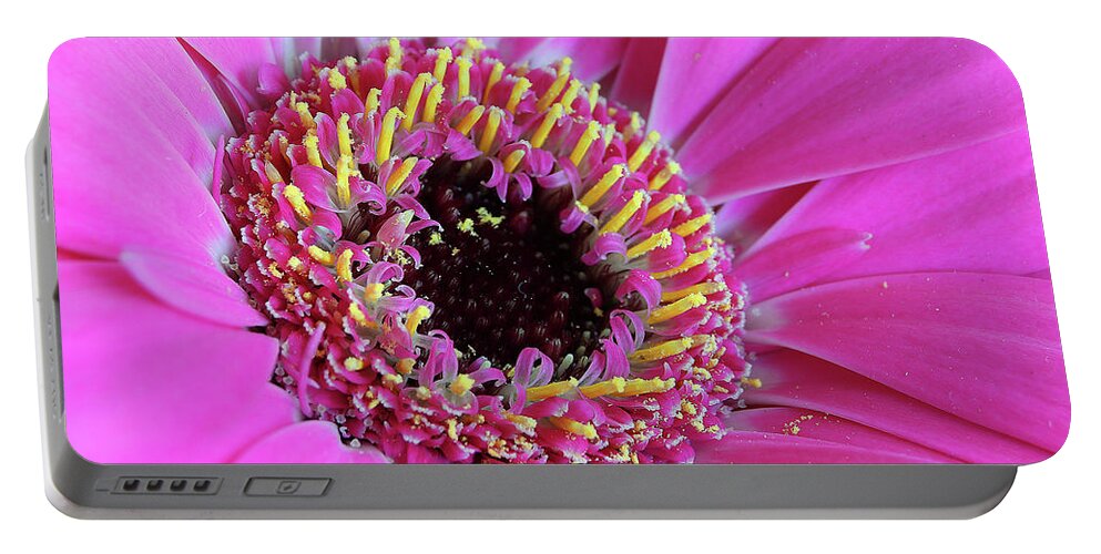 Flowers Portable Battery Charger featuring the digital art Pink 59 by Kevin Chippindall