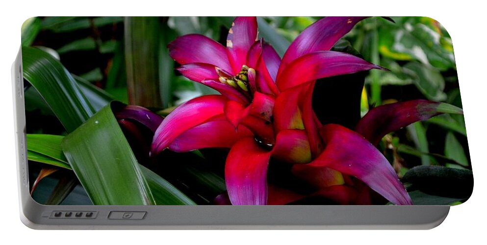 Pink Bromeliad Photograph Portable Battery Charger featuring the photograph Pink Bromeliad by Expressions By Stephanie