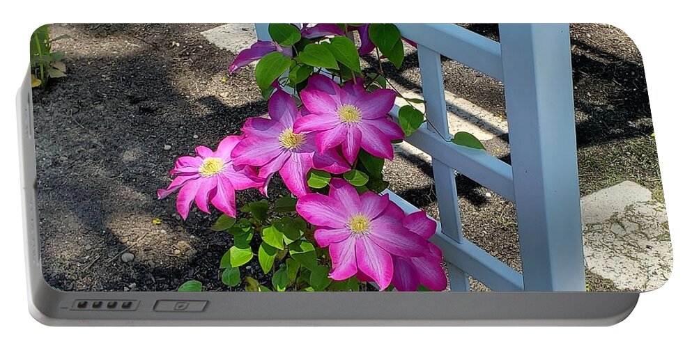 Clematis Flower Portable Battery Charger featuring the photograph Pink Champagne Clematis by Stacie Siemsen