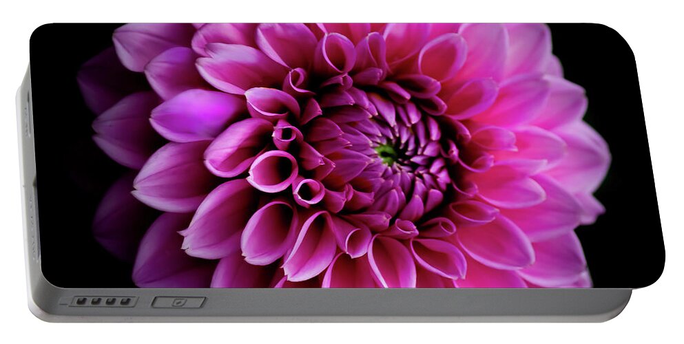 Art Portable Battery Charger featuring the photograph Pink Dahlia IV by Joan Han