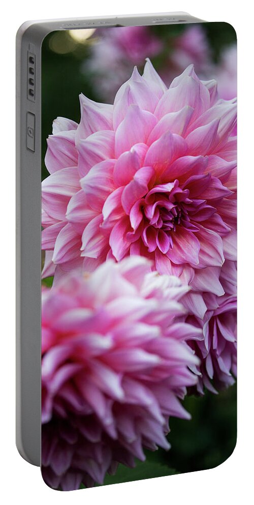 Pink Portable Battery Charger featuring the photograph Pink Dahlias by Denise Kopko