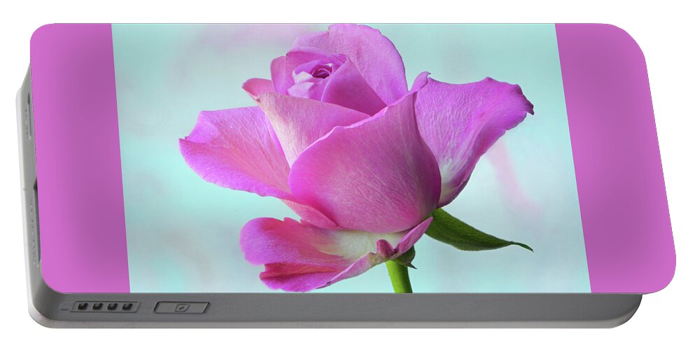 Pink Rose Portable Battery Charger featuring the photograph Pink Delight by Terence Davis