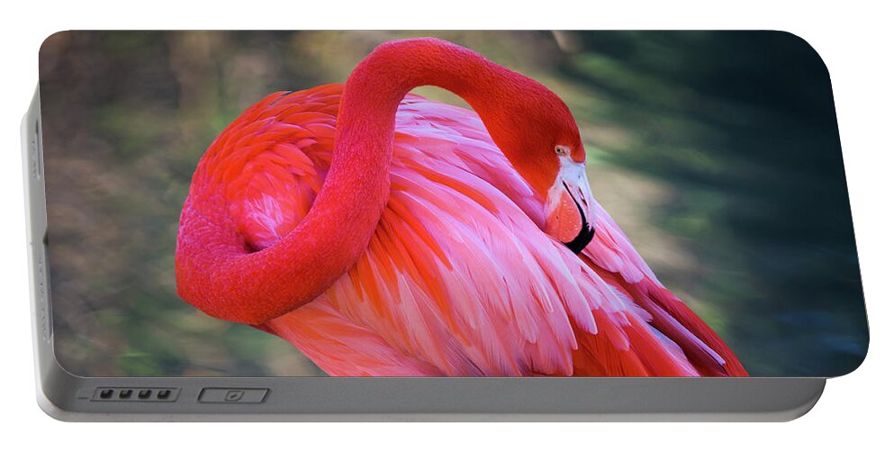 Flamingo Portable Battery Charger featuring the photograph Pink Flamingo by Erin Marie Davis