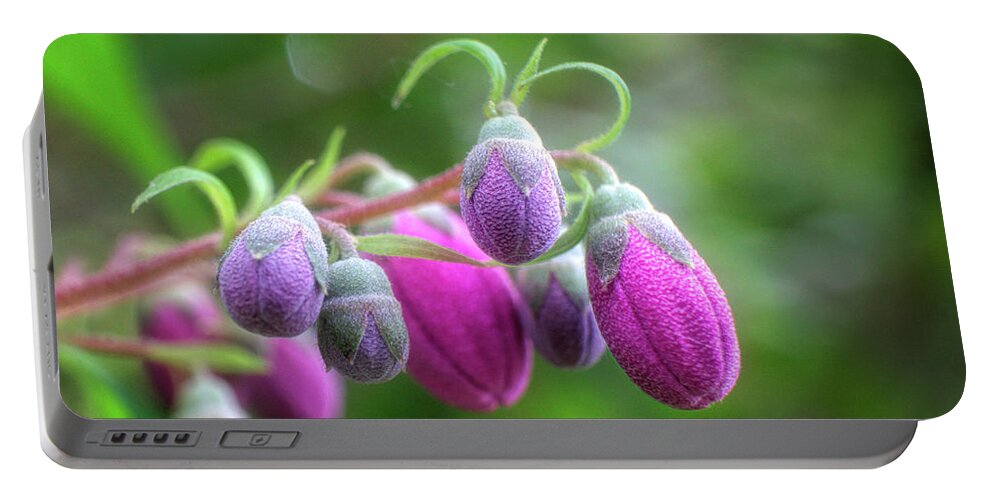 Pink Floral Macro Portable Battery Charger featuring the photograph Pink floral Macro by Lilia S