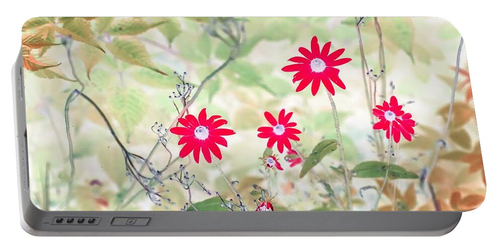 Flowers Portable Battery Charger featuring the photograph Happy Red Daisies by Missy Joy