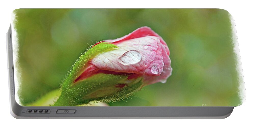 Botanical Portable Battery Charger featuring the photograph Pink Geranium Bud 1 by Debbie Portwood