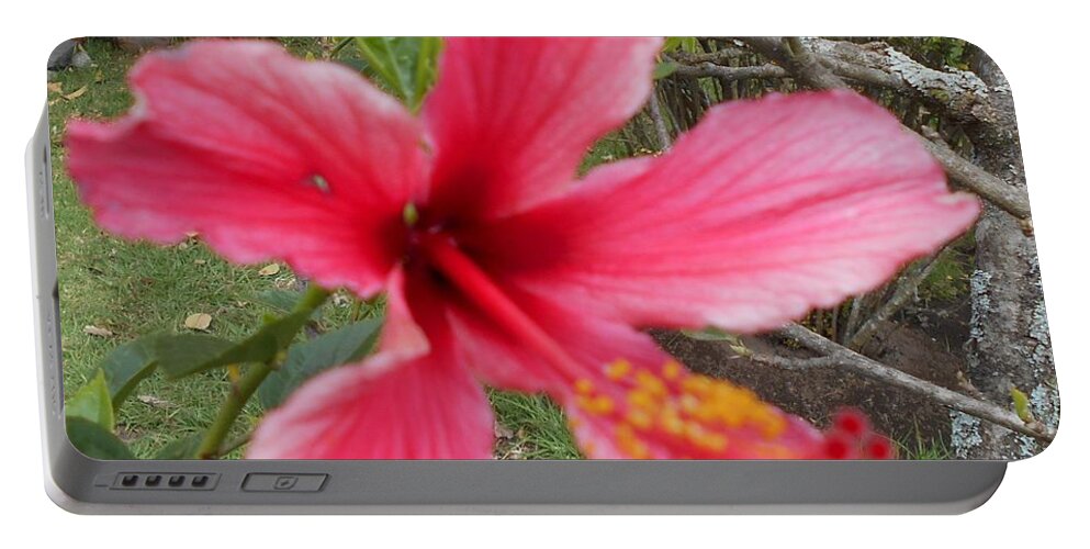 Pink Portable Battery Charger featuring the photograph Pink Hibiscus by Nancy Graham