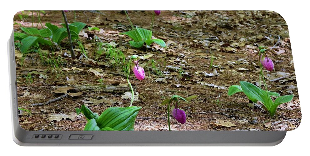 Pink Lady's Slippers Portable Battery Charger featuring the photograph Pink lady's slippers by Monika Salvan