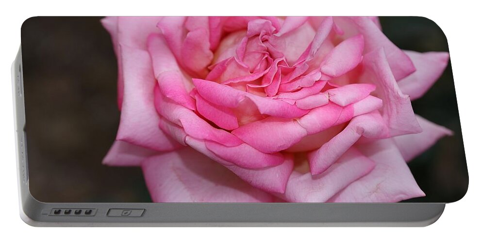 Rose Portable Battery Charger featuring the photograph Pink Layers by Mingming Jiang