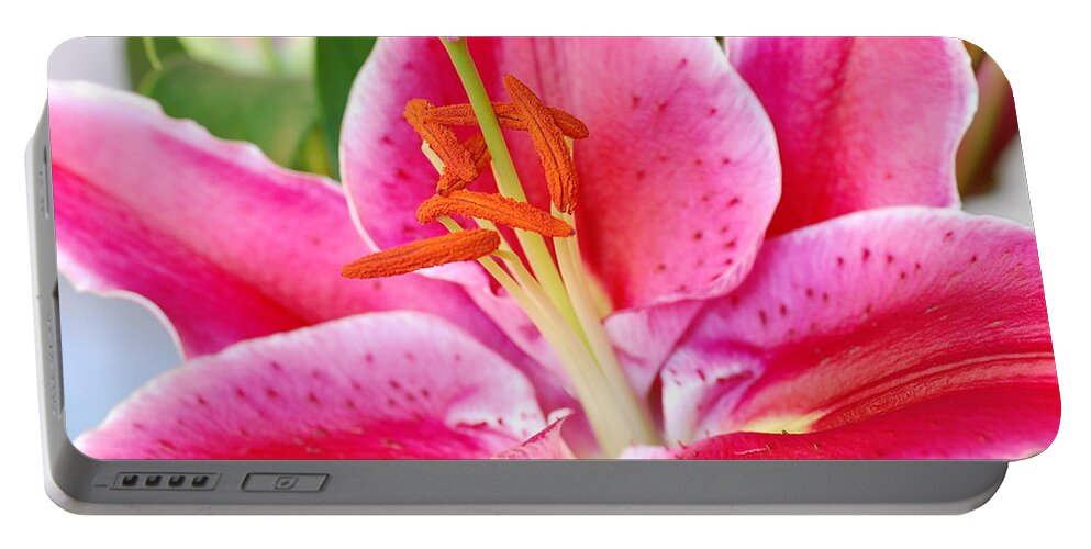 Lily Portable Battery Charger featuring the photograph Pink Lily 3 by Amy Fose