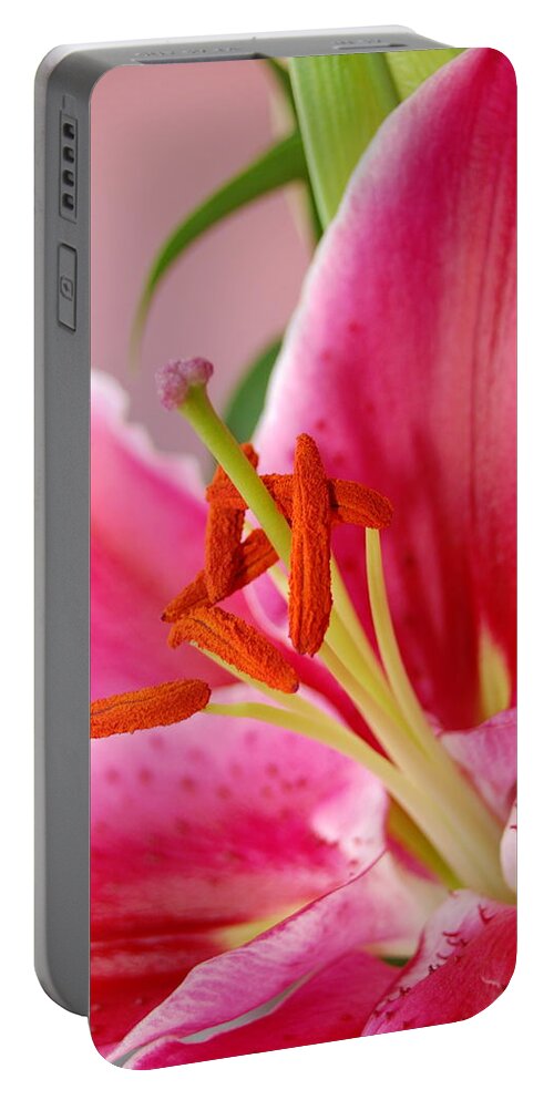 Lily Portable Battery Charger featuring the photograph Pink Lily 6 by Amy Fose