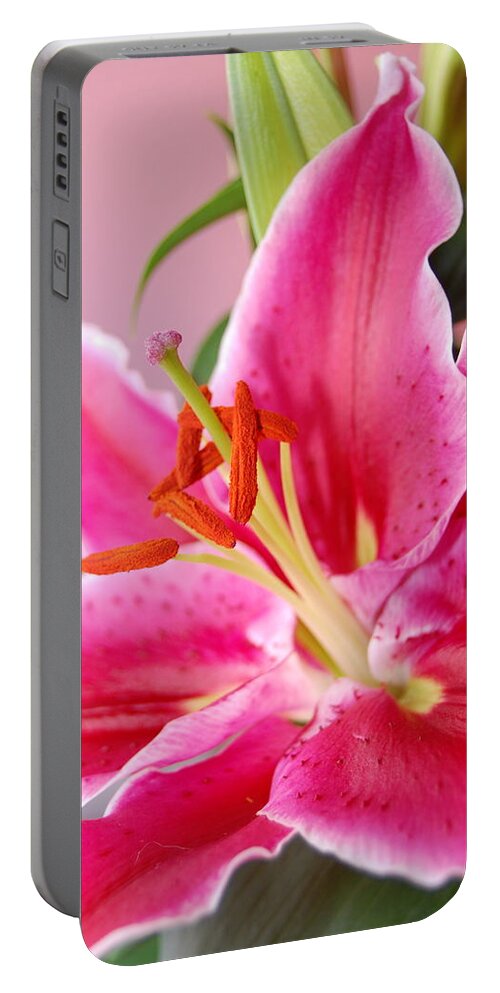 Lily Portable Battery Charger featuring the photograph Pink Lily 7 by Amy Fose
